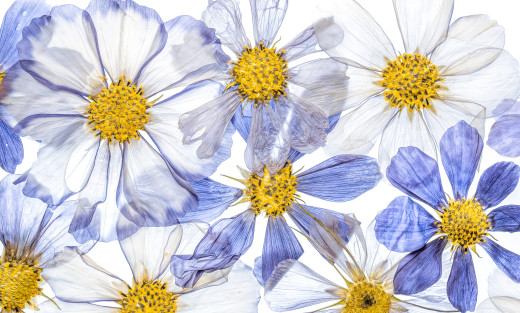 998201 (a): :2048x1230